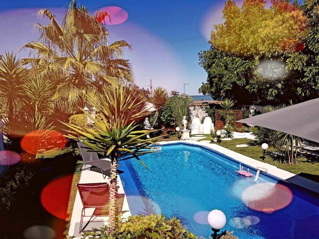 Suite-Junior -Villa Helene - Montpellier Sud - Aeroport- Piscine Privee-2Mn Des Plages ペロル エクステリア 写真