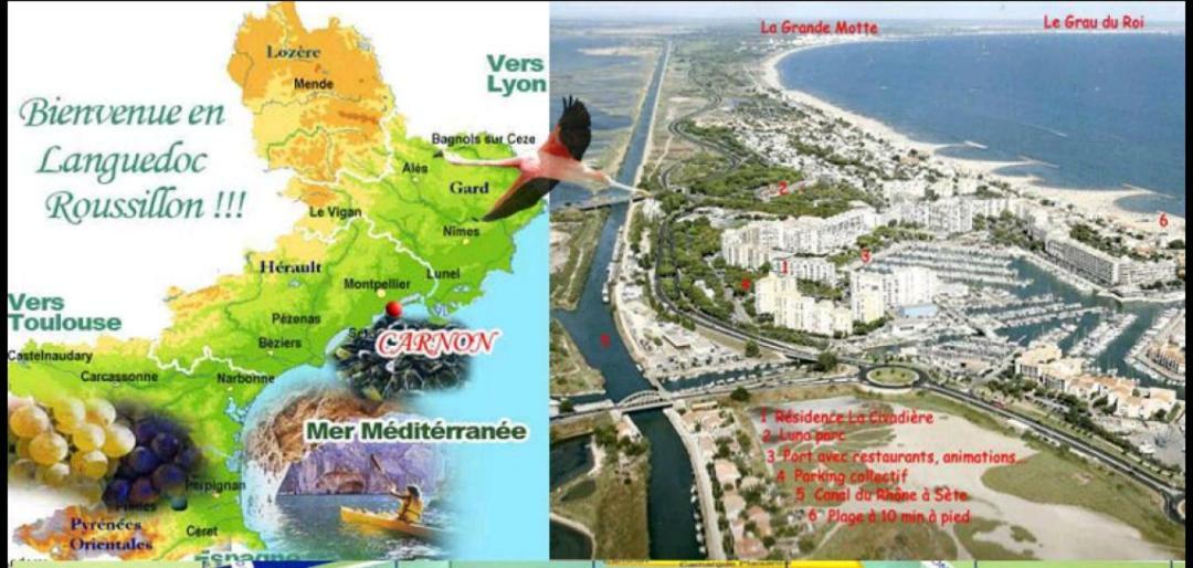 Suite-Junior -Villa Helene - Montpellier Sud - Aeroport- Piscine Privee-2Mn Des Plages ペロル エクステリア 写真
