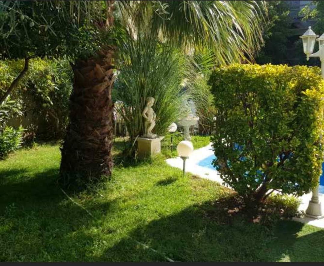 Suite-Junior -Villa Helene - Montpellier Sud - Aeroport- Piscine Privee-2Mn Des Plages ペロル エクステリア 写真