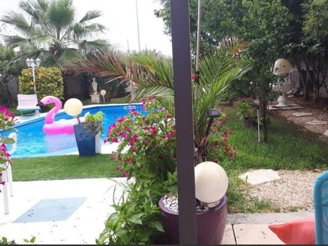 Suite-Junior -Villa Helene - Montpellier Sud - Aeroport- Piscine Privee-2Mn Des Plages ペロル 部屋 写真